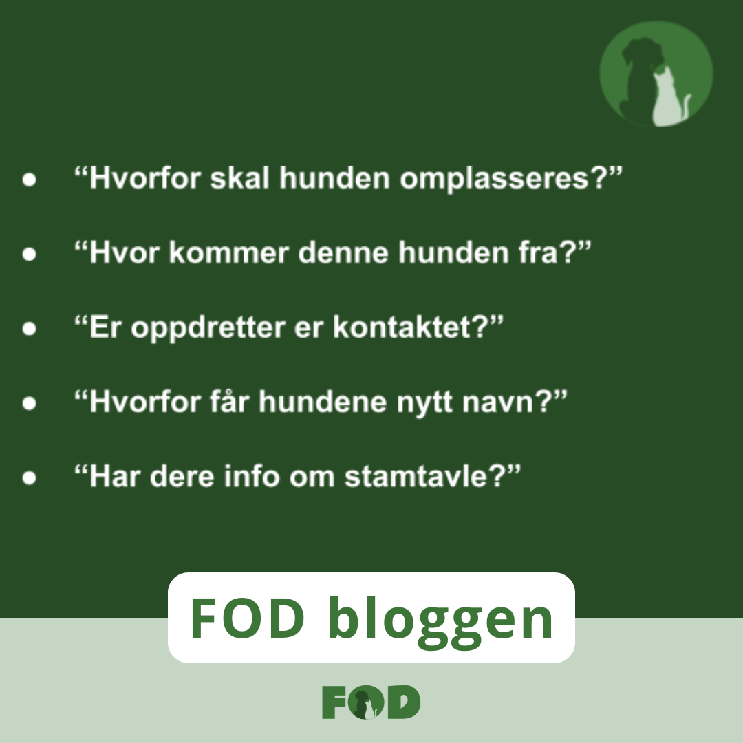 Til blogg_ikke slett_FAQ