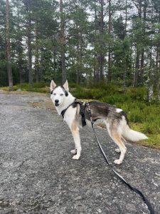 Athi på tur