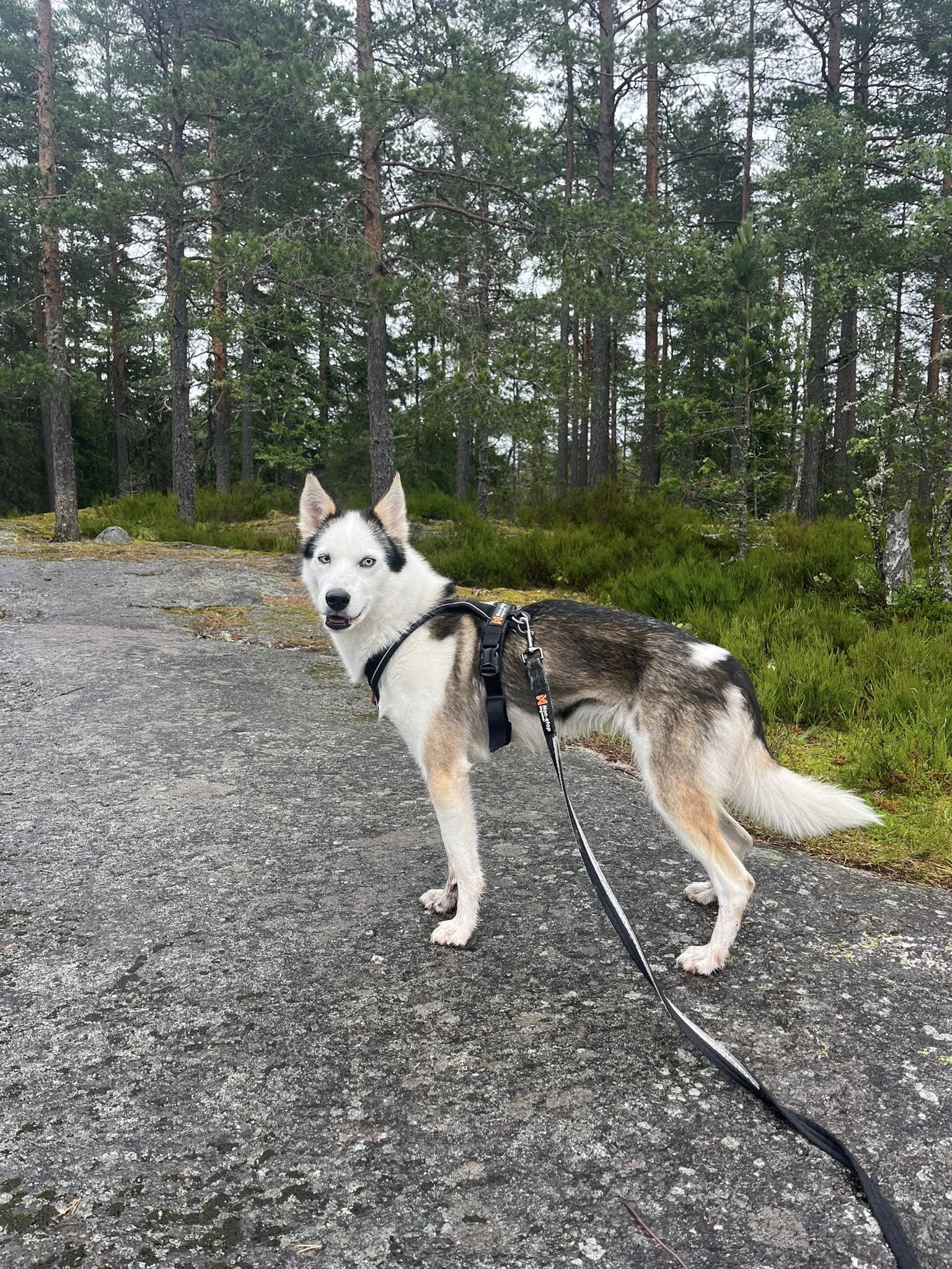 Athi på tur