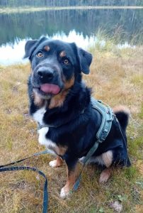 Solo på tur