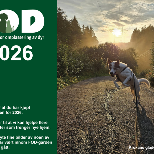 Forside til FOD kalender for 2026