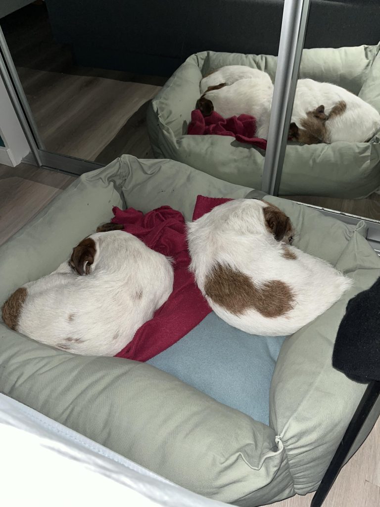 To hunder sover i samme seng